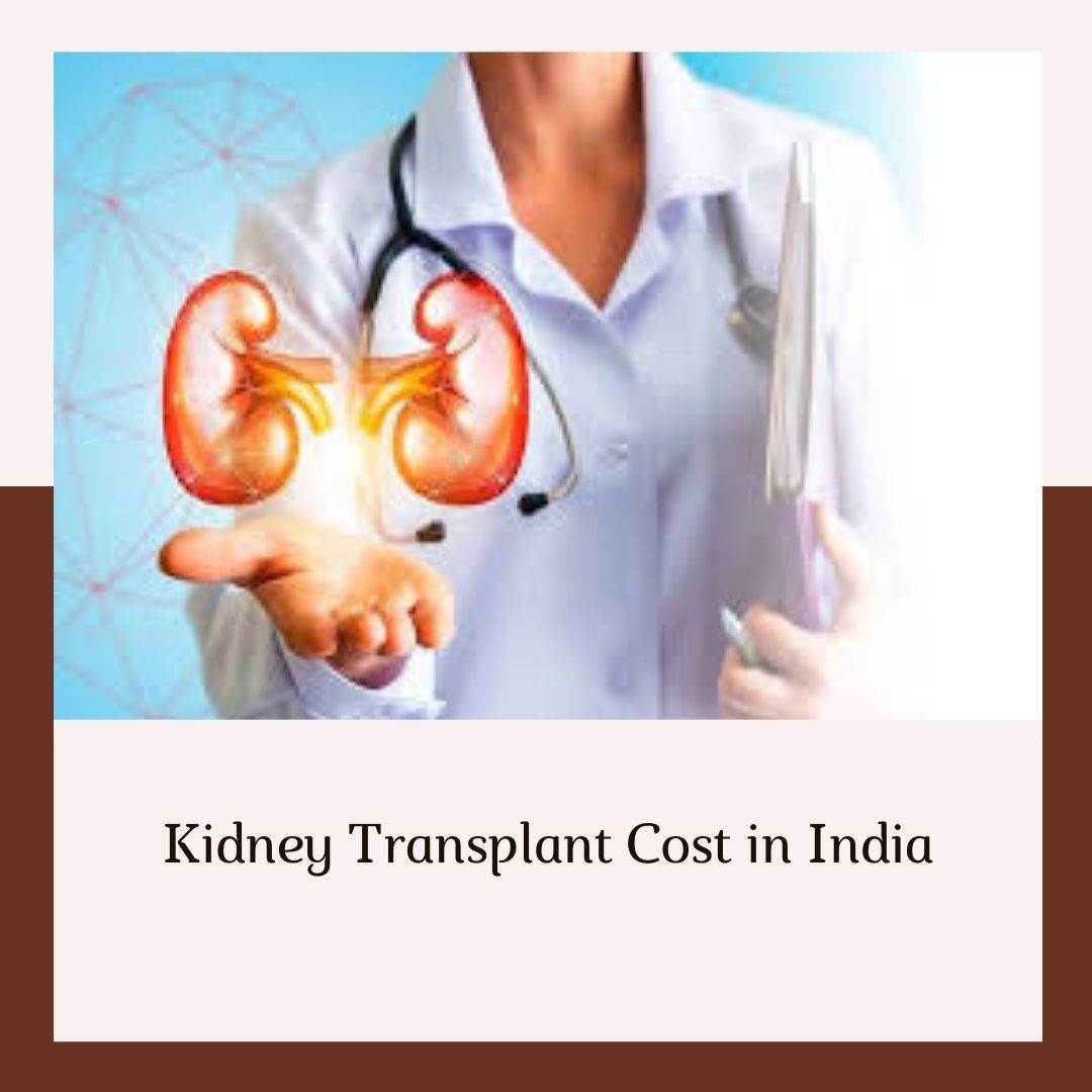 Kidney Transplant Cost India